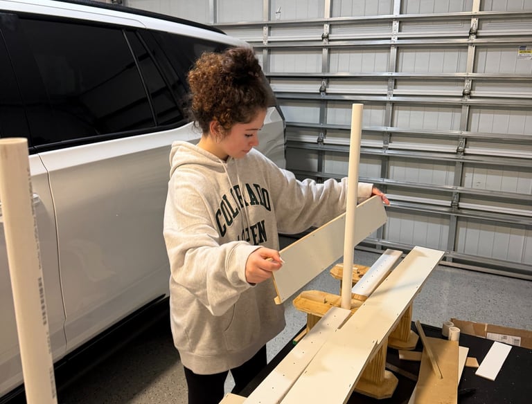 Sunshine Skyway bridge under construction with popsicle sticks and wood framework, representing FL D