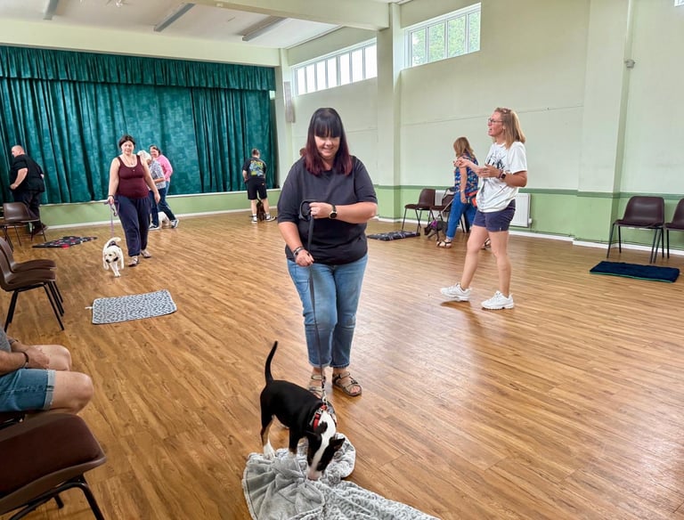 A Paw-sitive Puppy class being taught in Wollaston, Stourbridge