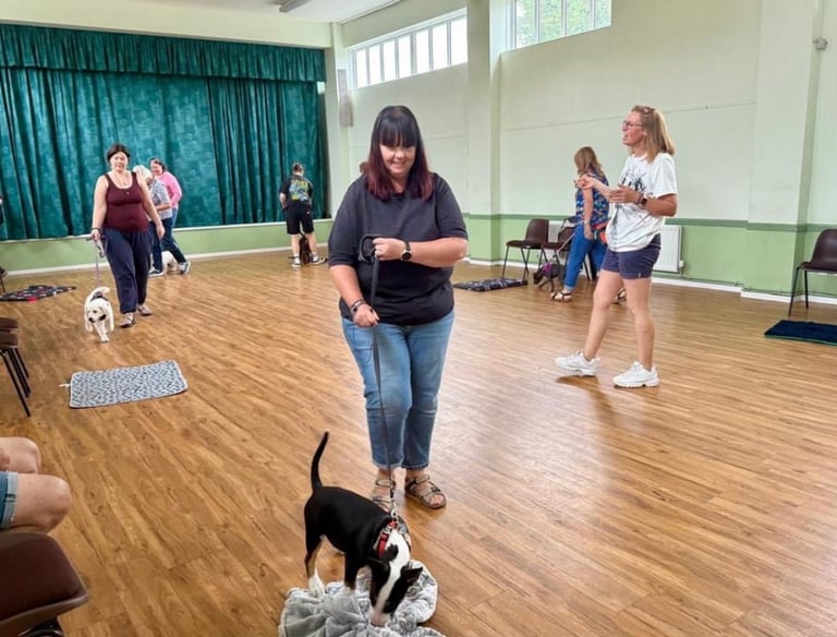 A group of people training their dogs on leashes during a professional indoor dog obedience class.