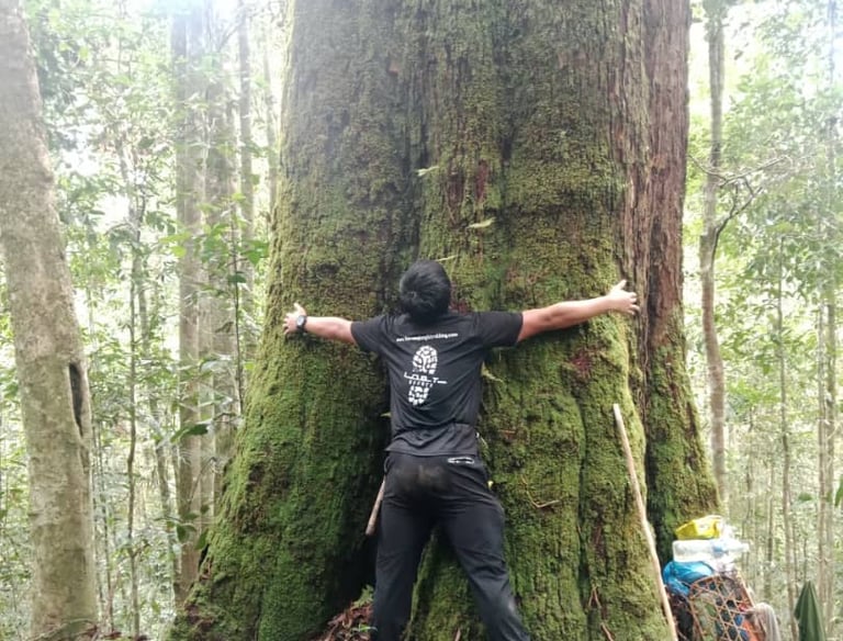 a man standing next to a giant tree