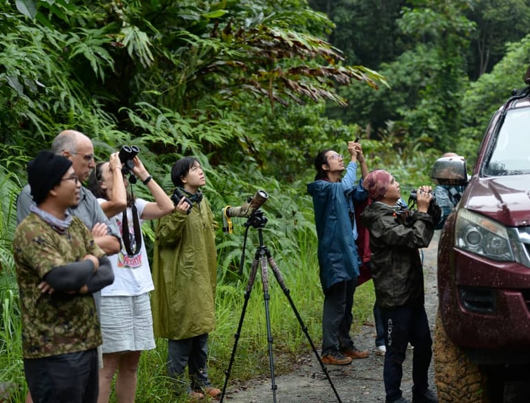 a group of people standing around a vehicle while observing wildlife