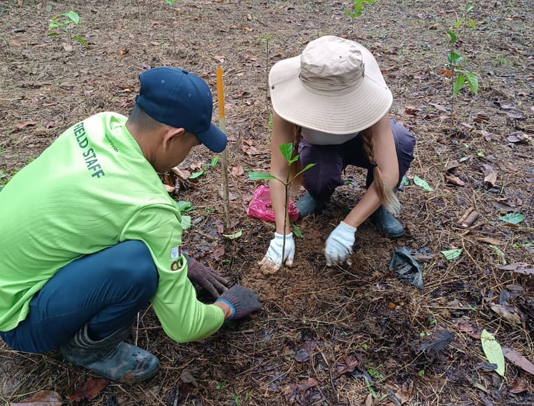 two people planting a tree during conservation project