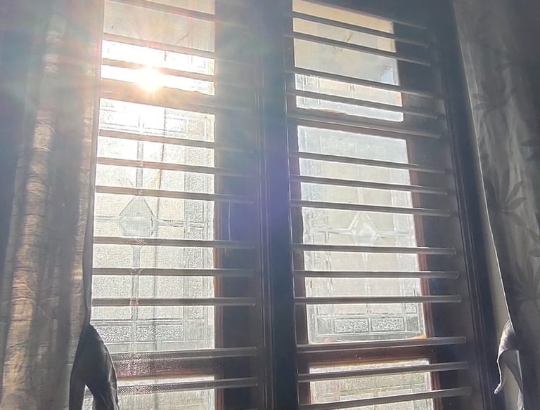 Window framed with a sleek, reusable mosquito net that fits perfectly.