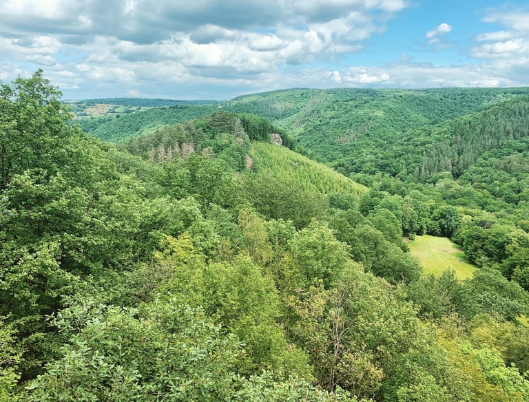 Nature, Ninglinspo, Découverte