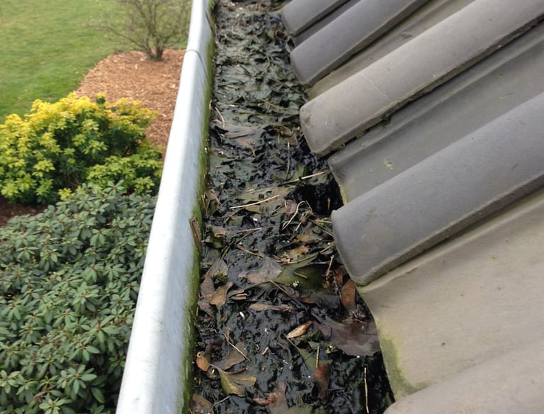 Dakgoten laten schoonmaken in Groningen