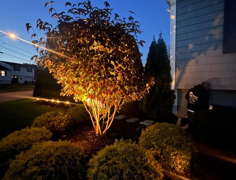Outdoor LED landscape lighting illuminating Port Jefferson Station property walkway at dusk