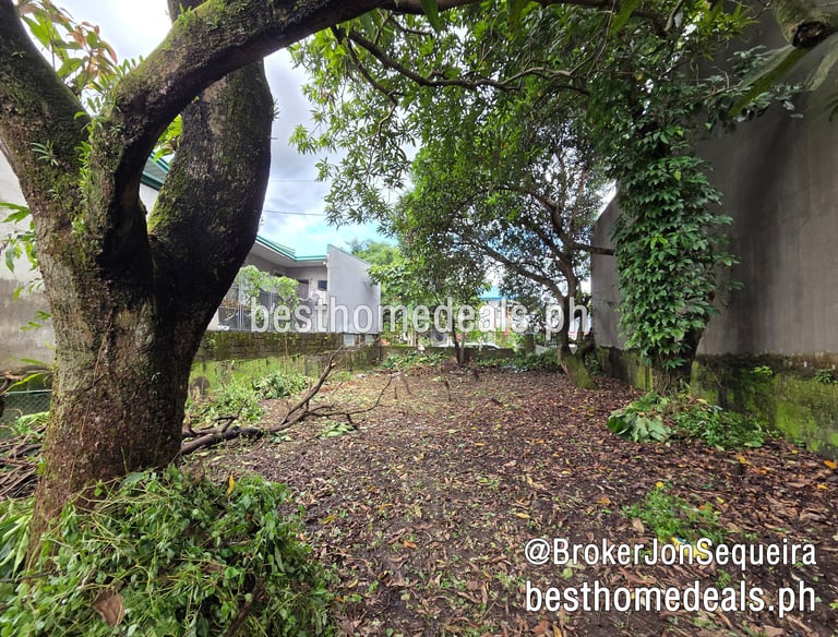 Tungkong Mangga Lot for Sale