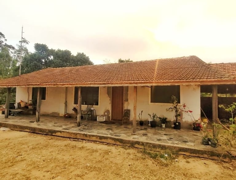 sitio-a-venda-bairro-pinhal-limeira 