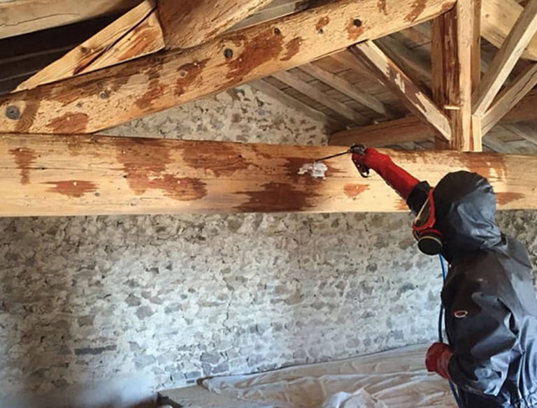 Technicien professionnel de lutte antiparasitaire pulvérisant un traitement du bois sur les poutres 