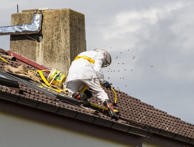 Apiculteur professionnel en tenue de protection retirant une ruche d'un toit de tuiles résidentiel.