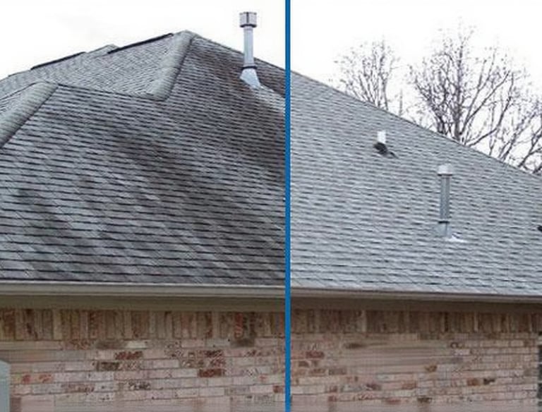 Revitalized roof in Land 'O' Lakes FL with roof soft wash service