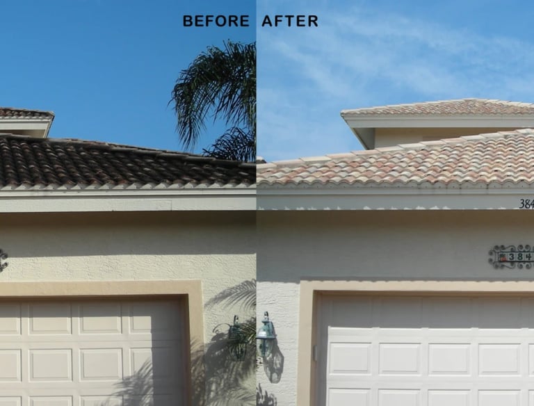 Non-pressure roof cleaning process for delicate tiles in Wilderness Lake Preserve