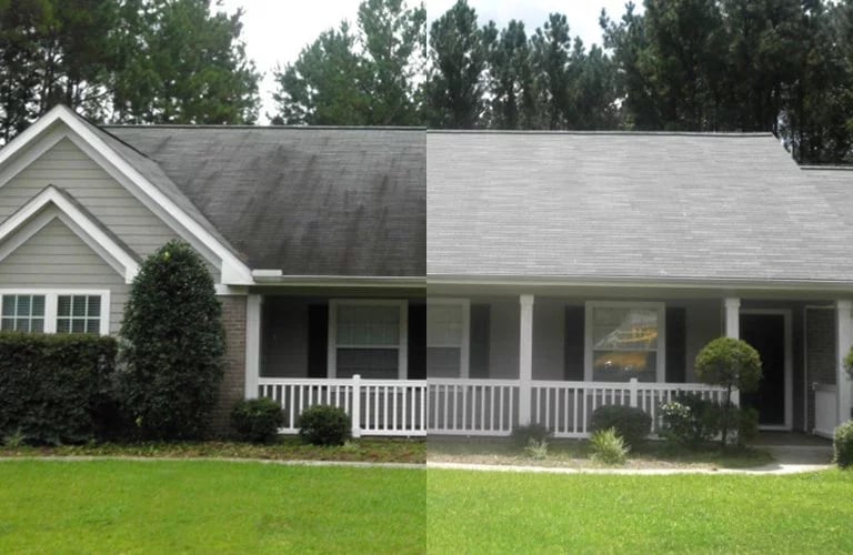 Roof Soft Wash Port Richey FL