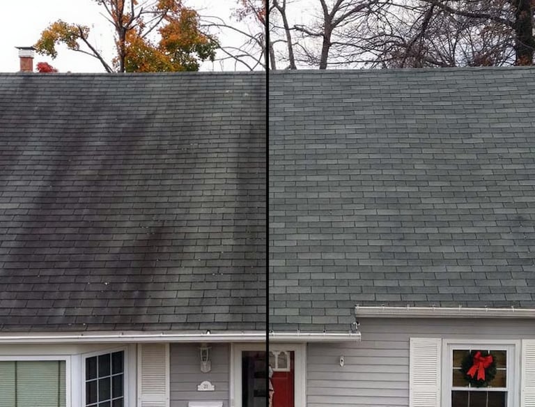 Roof Soft Washing Service Port RIchey FL