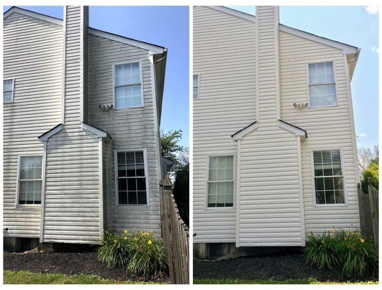 Vinyl Siding Soft Wash Land 'O' Lakes FL