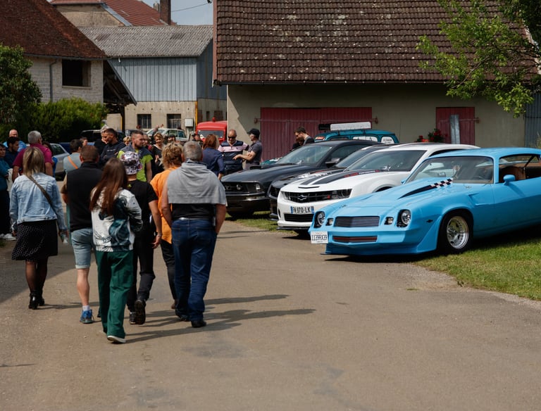Rassemblement véhicules anciens Marnezia (39)
