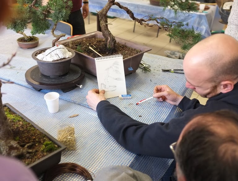 Bonsai workshop, teaching bonsai