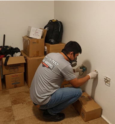 A technician wearing a respirator mask performs mold remediation on a basement wall near storage boxes.