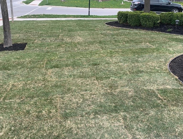 Landscaping by TN Professional Services