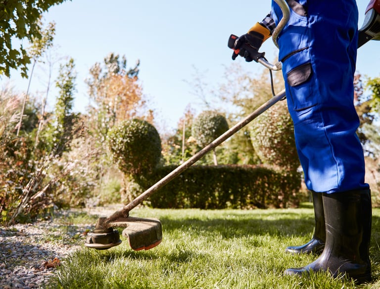 Landscaping services in Dubai