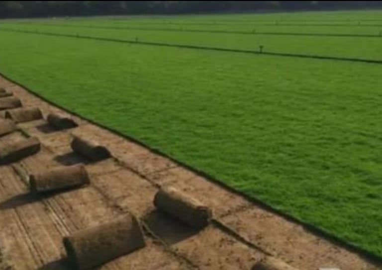 تنسيق حدائق بالرياض – تركيب عشب صناعي