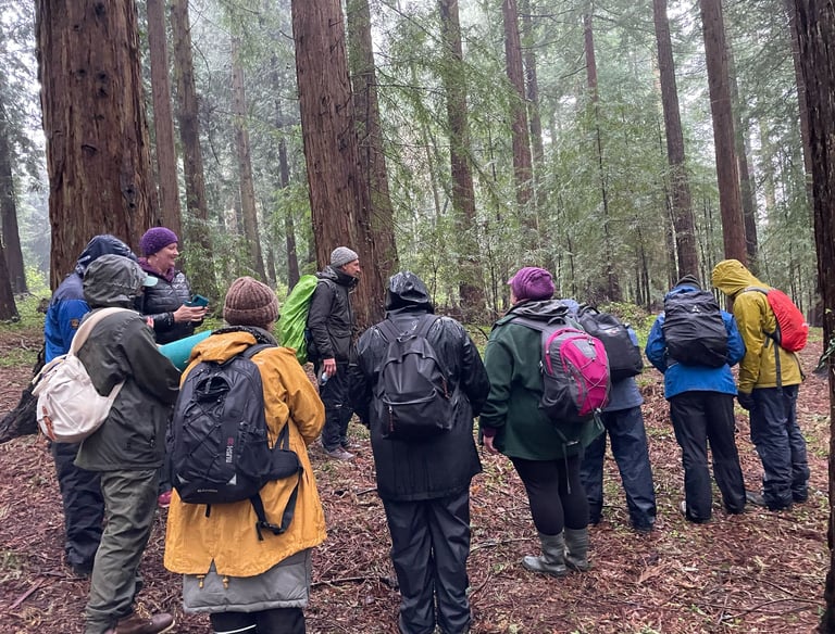 a group of people standing in a forest