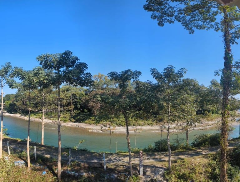 180 degree river view from room balcony