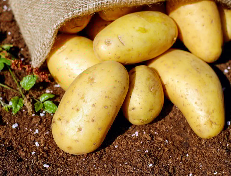 kartoffeln
