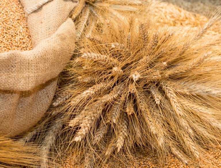 Millets Export