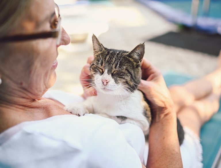 a woman in a white shirt is holding a cat