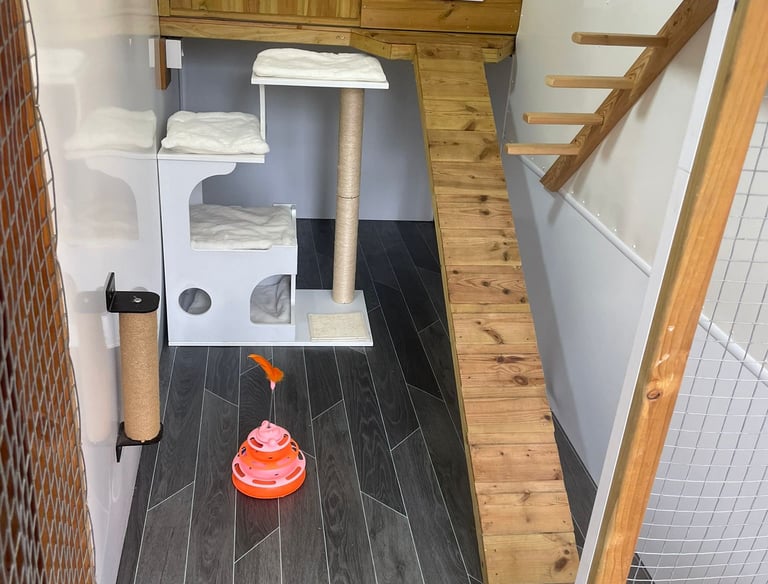 inside luxury cattery penthouse