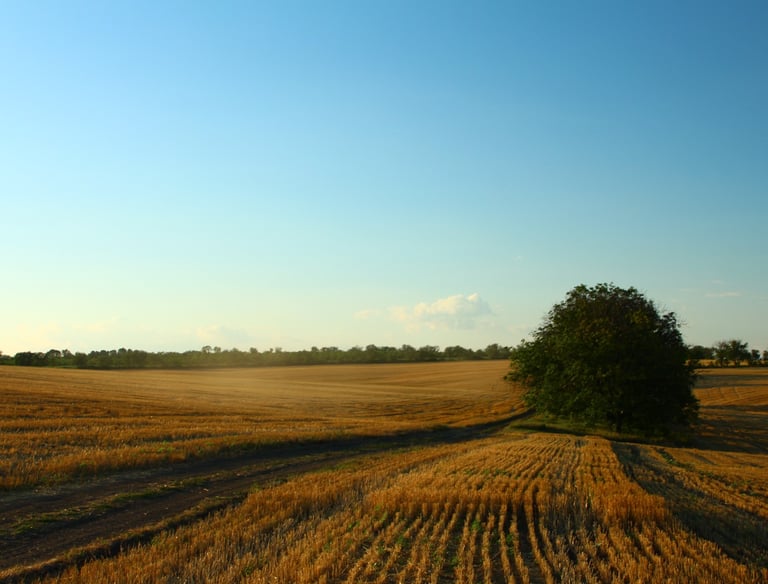campo-energias-renovaveis