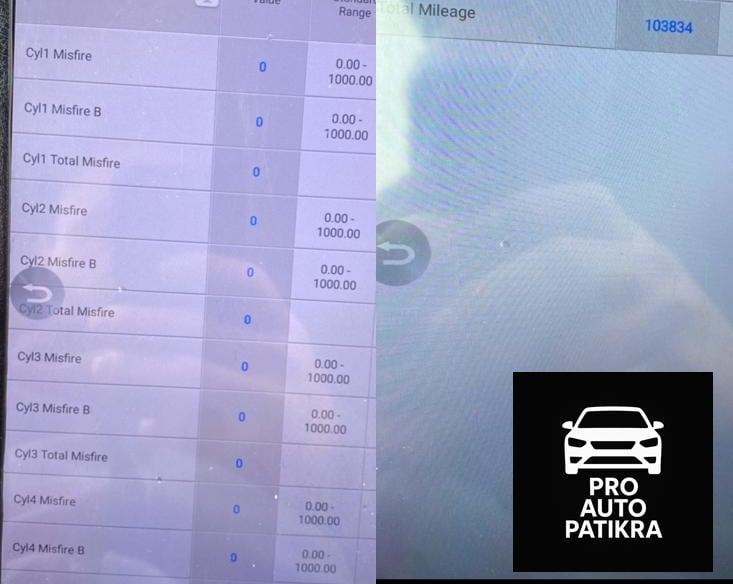 Autopatikra diagnostika