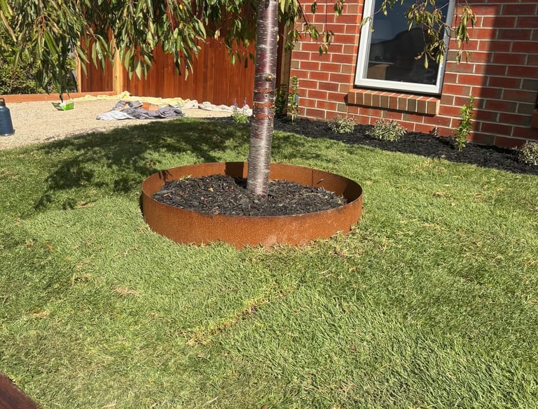 New grass in front yard