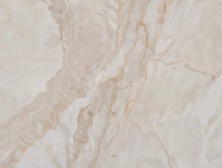 person holding black motorized bicycle