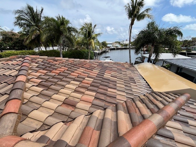 tile roof soft washing services