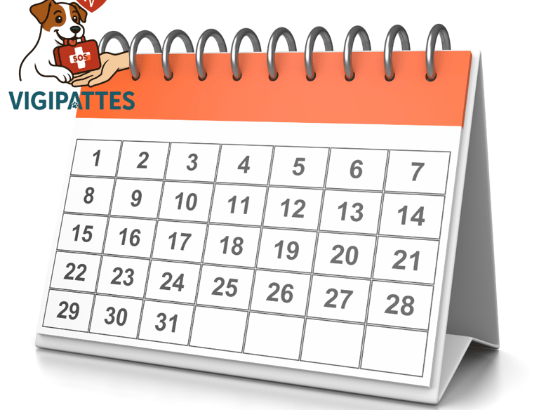 a calendar calendar calendar calendar calendars for the month of january