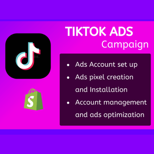TikTok Ads Management