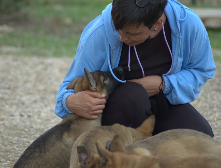 a woman in a blue jacket is holding a dog