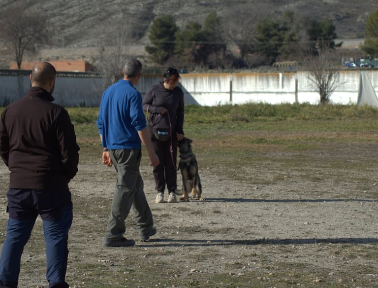 a group of people walking with dog around a field