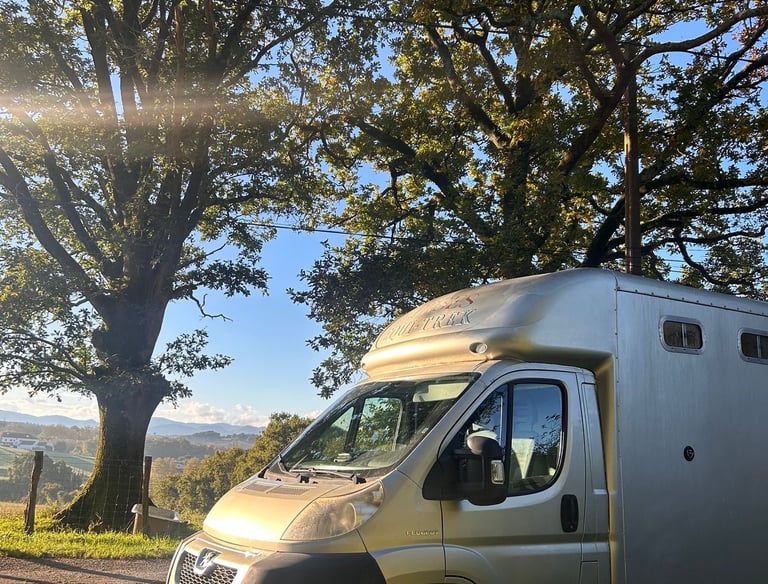 Un camion chevaux devant deux arbres