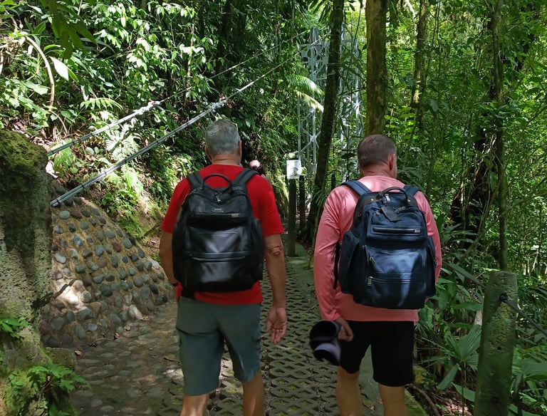 two people walking up a path in the woods in monte verde