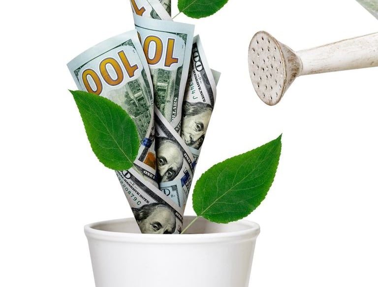 Wirtschaftlichkeit - das Geldbäumchen kann auf vielerlei Weisen wachsen