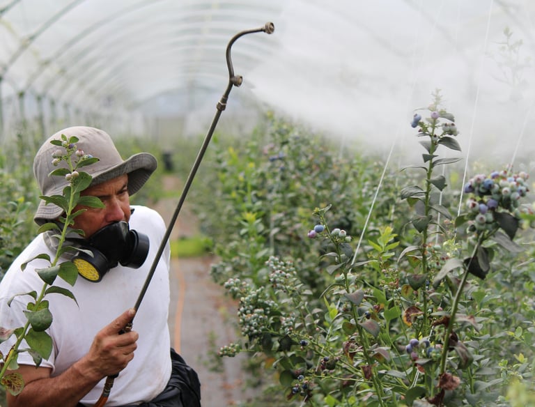 Agriculture