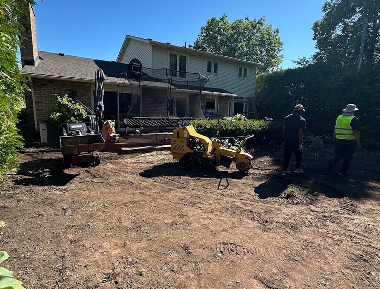 Existing damaged grass being removed before sod installation