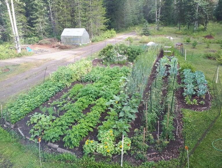 Home garden prior to expansion into Grouse House Farm