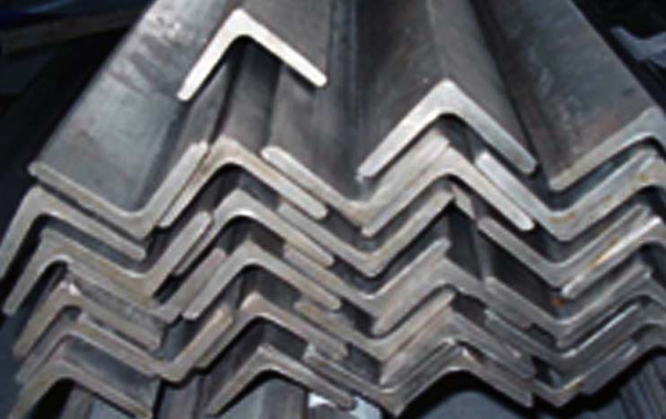 MS Angles at Narayan J International