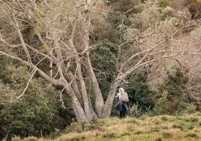 Fine art photography courses teach composition in nature with a lone photographer exploring.