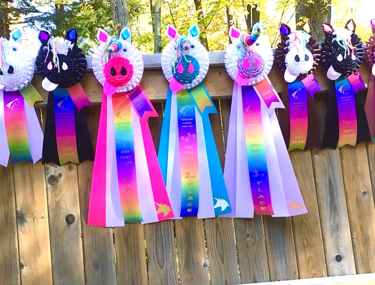 FDL etFDP, face de licorne et face de poney, un choix orginal pour les jeunes cavaliers(ères).