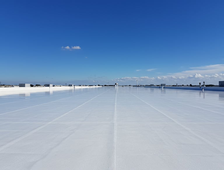 TPO Roof